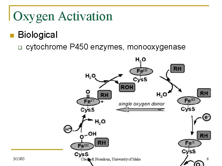 Oxygen Activation n Biological q 3/15/05 cytochrome P 450 enzymes, monooxygenase Cheng & Noradoun,