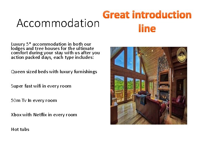 Great introduction Accommodation line Luxury 5* accommodation in both our lodges and tree houses