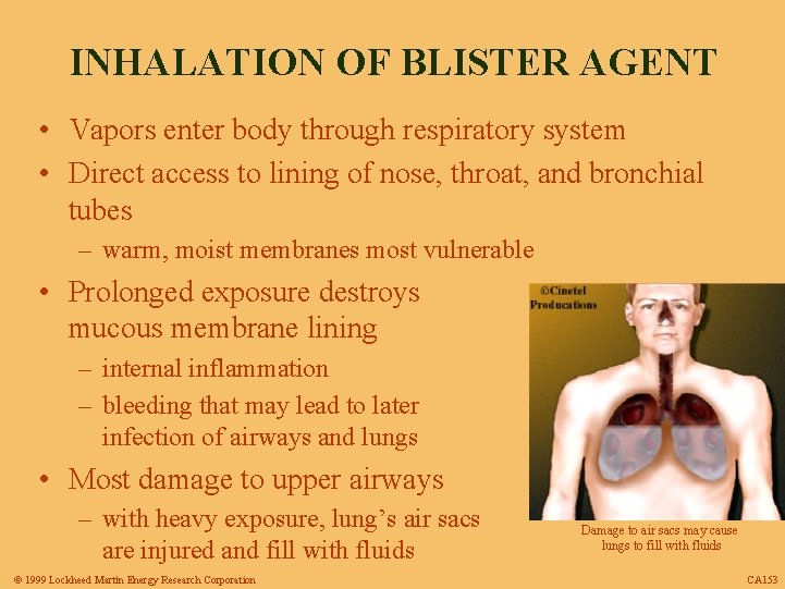 INHALATION OF BLISTER AGENT • Vapors enter body through respiratory system • Direct access