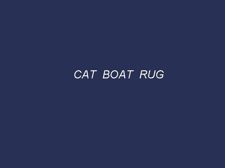 CAT BOAT RUG 