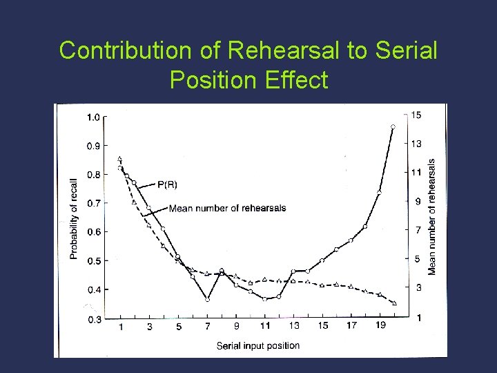 Contribution of Rehearsal to Serial Position Effect 