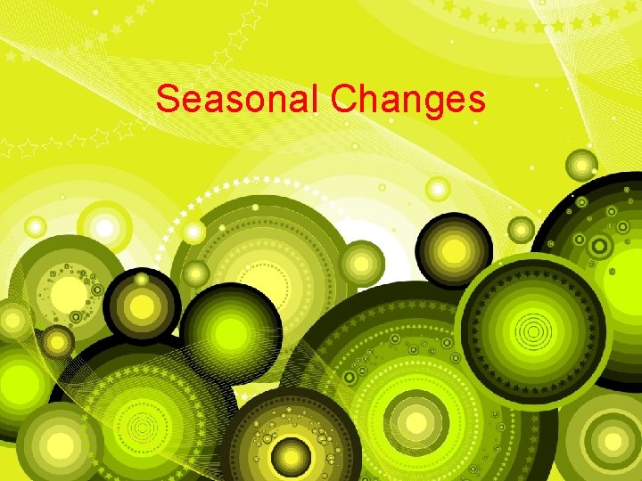 Seasonal Changes 