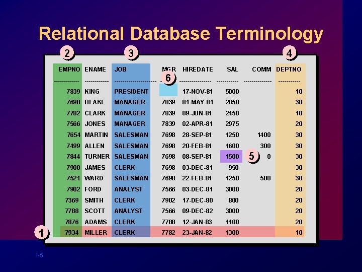 Relational Database Terminology 2 3 EMPNO ENAME JOB 4 MGR 6 HIREDATE SAL COMM Relational Database Terminology 2 3 EMPNO ENAME JOB 4 MGR 6 HIREDATE SAL COMM