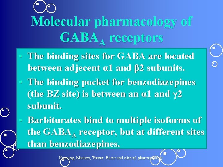Molecular pharmacology of GABAA receptors • The binding sites for GABA are located between
