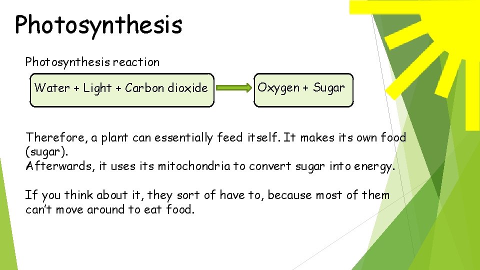 Photosynthesis reaction Water + Light + Carbon dioxide Oxygen + Sugar Therefore, a plant