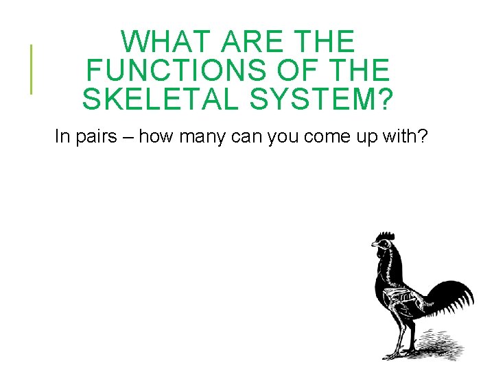 WHAT ARE THE FUNCTIONS OF THE SKELETAL SYSTEM? In pairs – how many can