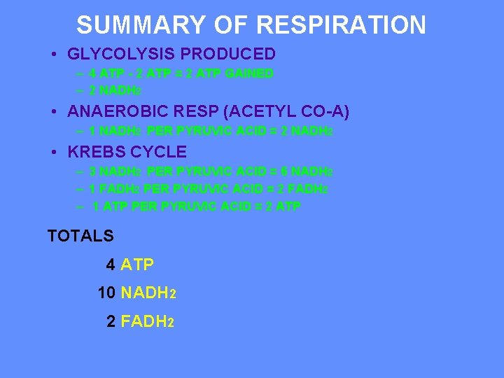 SUMMARY OF RESPIRATION • GLYCOLYSIS PRODUCED – 4 ATP - 2 ATP = 2