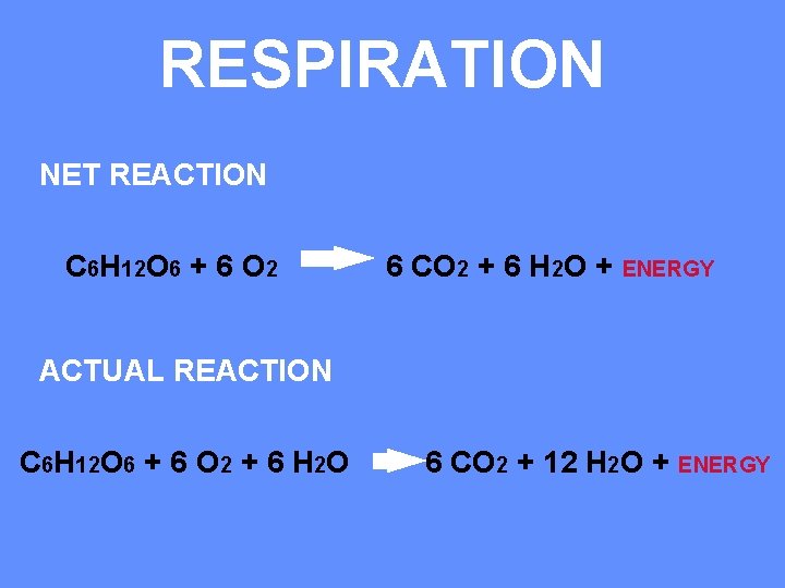 RESPIRATION NET REACTION C 6 H 12 O 6 + 6 O 2 6