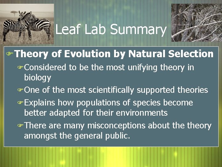 An Introduction to Evolution by Natural Selection By