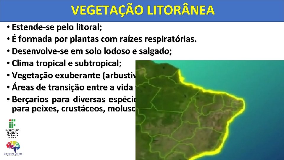 PRINCIPAIS BIOMAS DO BRASIL Aula Programada ECOLOGIA Tema