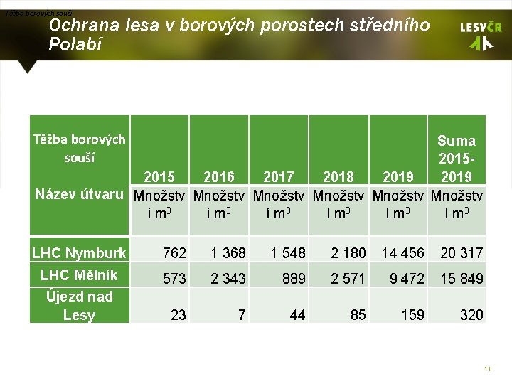 Těžba borových souší Ochrana lesa v borových porostech středního Polabí Těžba borových souší Suma