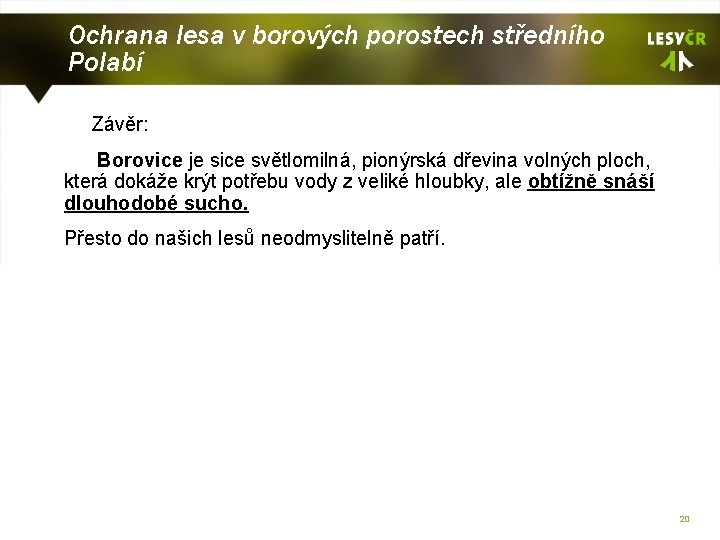 Ochrana lesa v borových porostech středního Polabí Závěr: Borovice je sice světlomilná, pionýrská dřevina