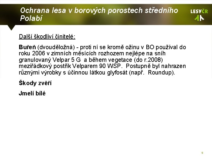 Ochrana lesa v borových porostech středního Polabí Další škodliví činitelé: Buřeň (dvouděložná) - proti