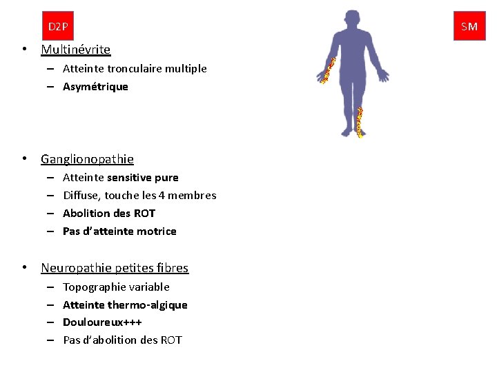 D 2 P • Multinévrite – Atteinte tronculaire multiple – Asymétrique • Ganglionopathie –