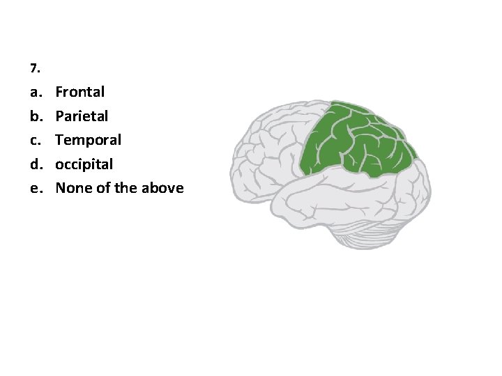 7. a. b. c. d. e. Frontal Parietal Temporal occipital None of the above