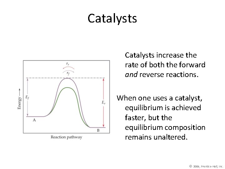 Catalysts increase the rate of both the forward and reverse reactions. When one uses