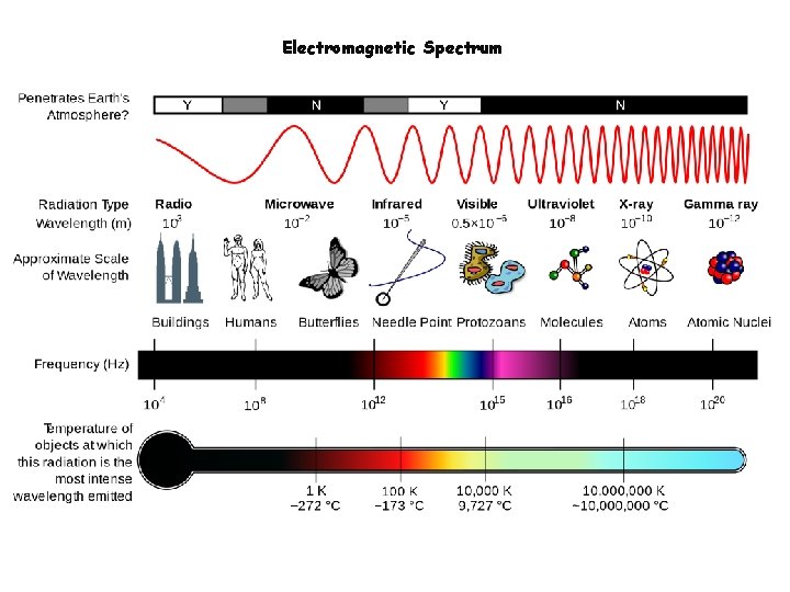 Electromagnetic Spectrum 