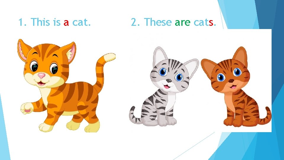 1. This is a cat. 2. These are cats. 1. This is a cat. 2. These are cats.