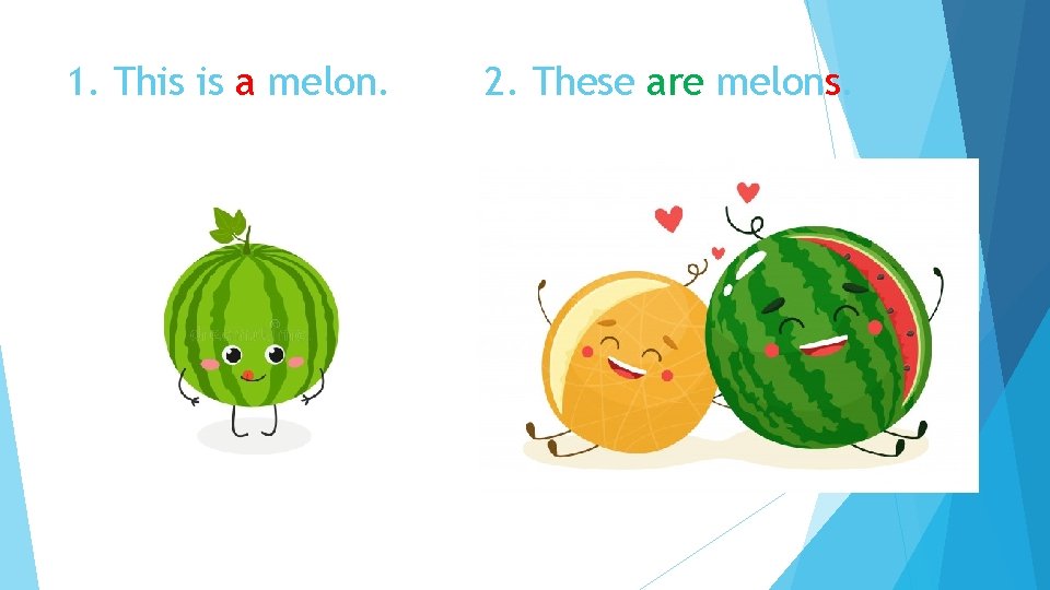 1. This is a melon. 2. These are melons. 