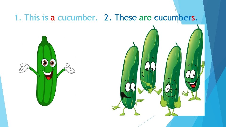 1. This is a cucumber. 2. These are cucumbers. 