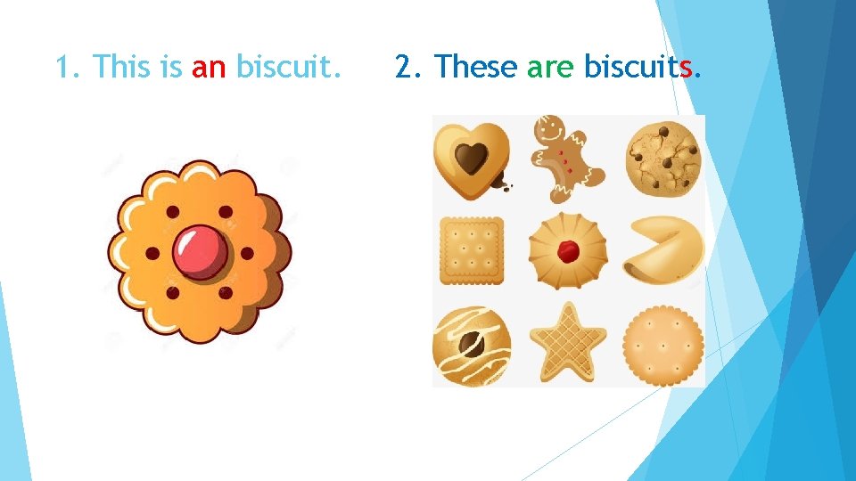 1. This is an biscuit. 2. These are biscuits. 