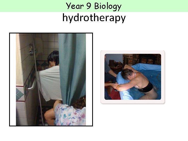 Year 9 Biology hydrotherapy  Year 9 Biology hydrotherapy
