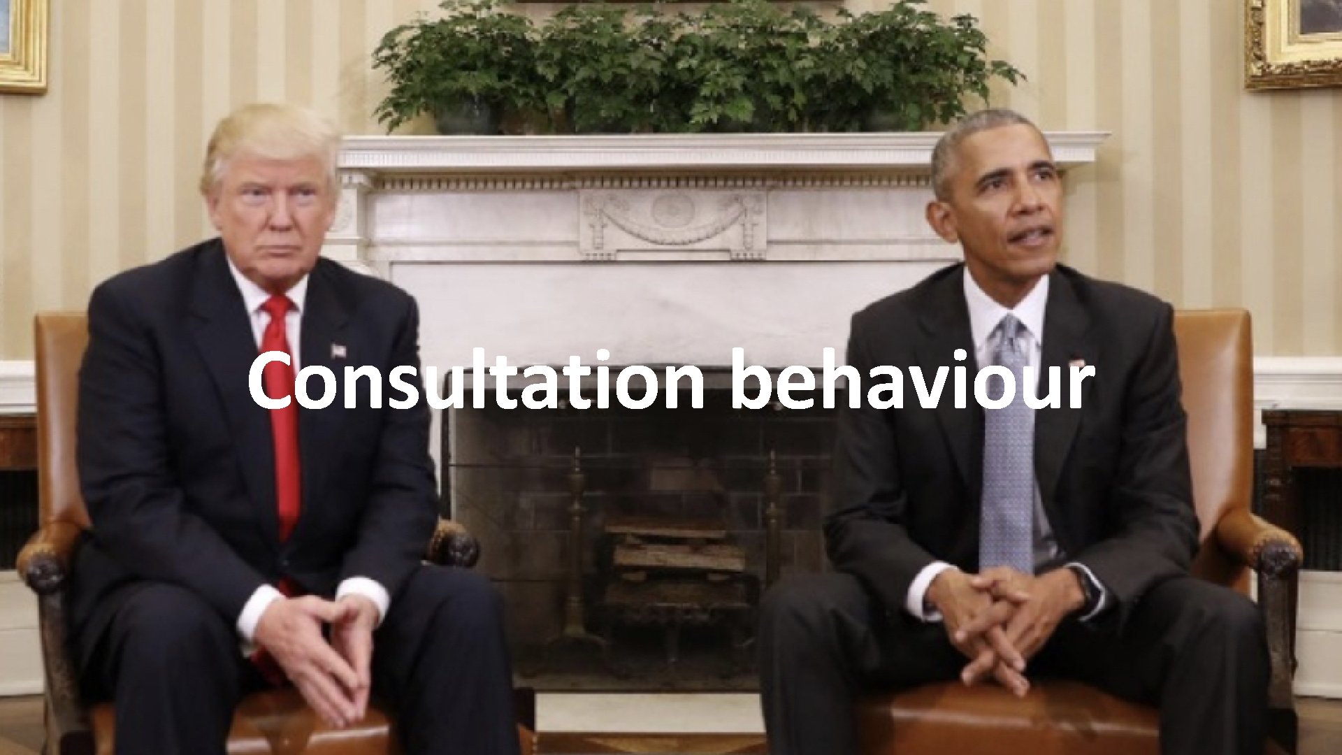Consultation behaviour 