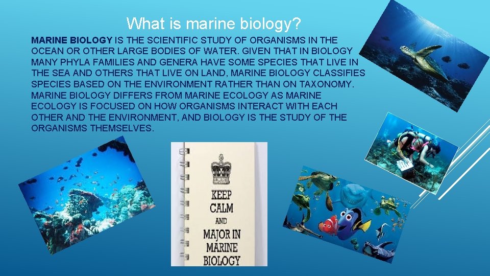 What is marine biology? MARINE BIOLOGY IS THE SCIENTIFIC STUDY OF ORGANISMS IN THE