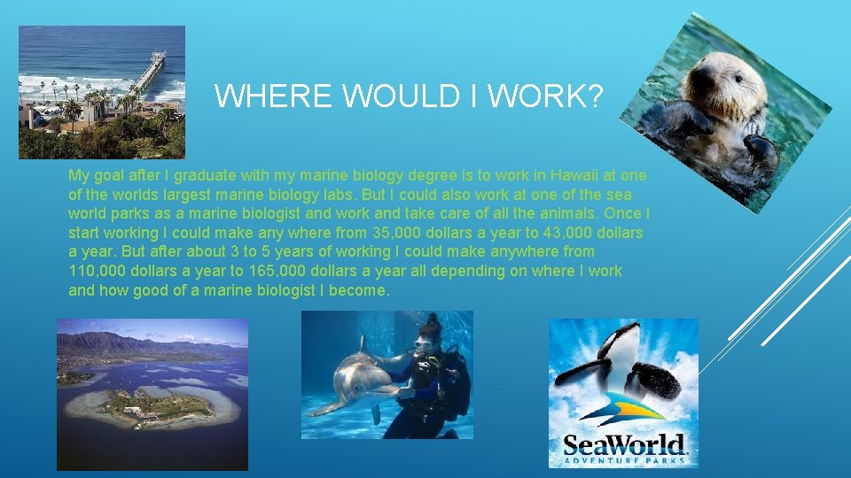 WHERE WOULD I WORK? My goal after I graduate with my marine biology degree