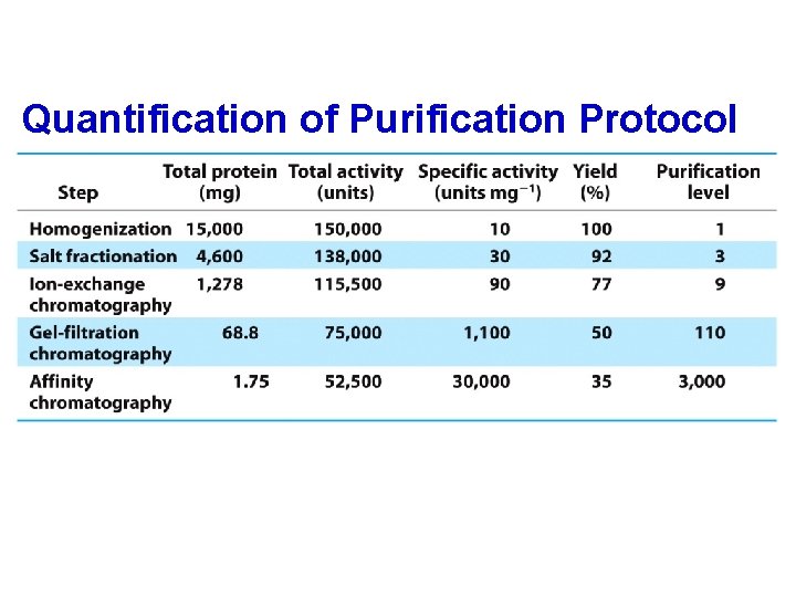 Quantification of Purification Protocol 