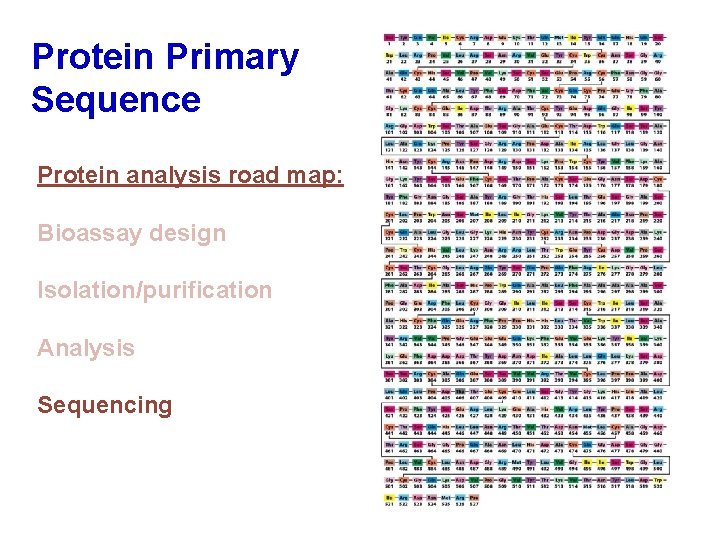 Protein Primary Sequence Protein analysis road map: Bioassay design Isolation/purification Analysis Sequencing 