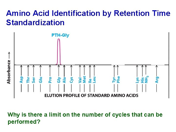 Amino Acid Identification by Retention Time Standardization PTH-Gly Why is there a limit on