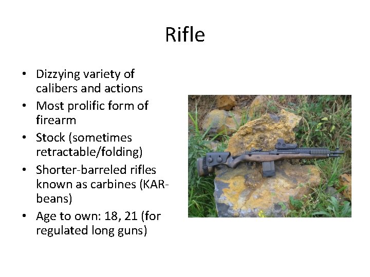 Rifle • Dizzying variety of calibers and actions • Most prolific form of firearm