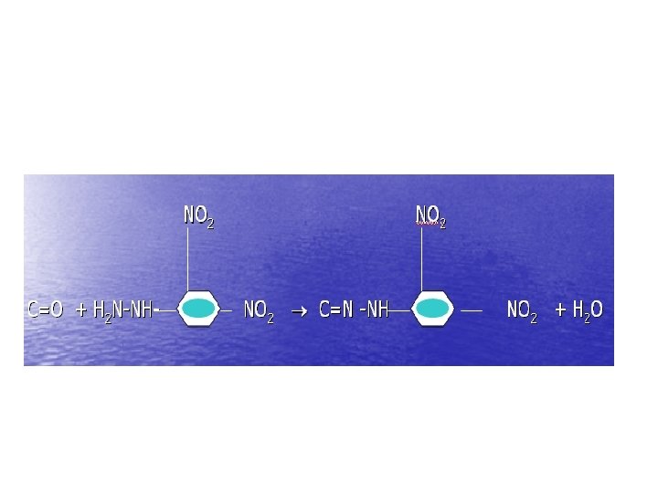 NO 2 C=O + H 2 N-NH- NO 2 C=N -NH NO 2 +