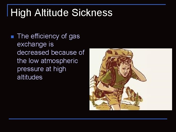 High Altitude Sickness n The efficiency of gas exchange is decreased because of the