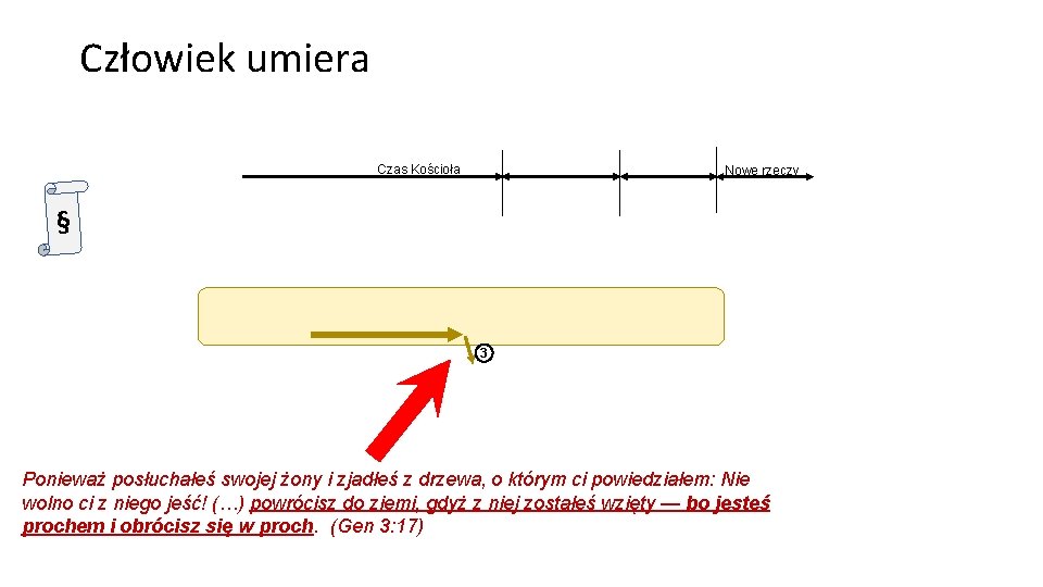 Człowiek umiera Czas Kościoła Nowe rzeczy § 3 Ponieważ posłuchałeś swojej żony i zjadłeś