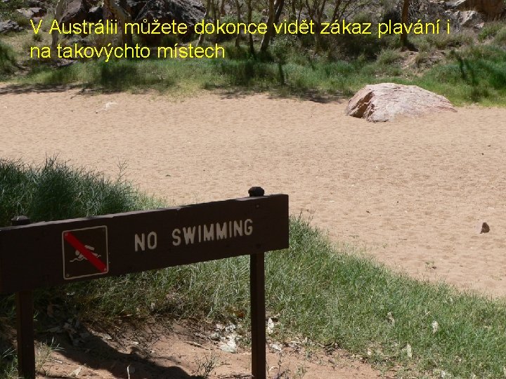 V Austrálii můžete dokonce vidět zákaz plavání i na takovýchto místech 
