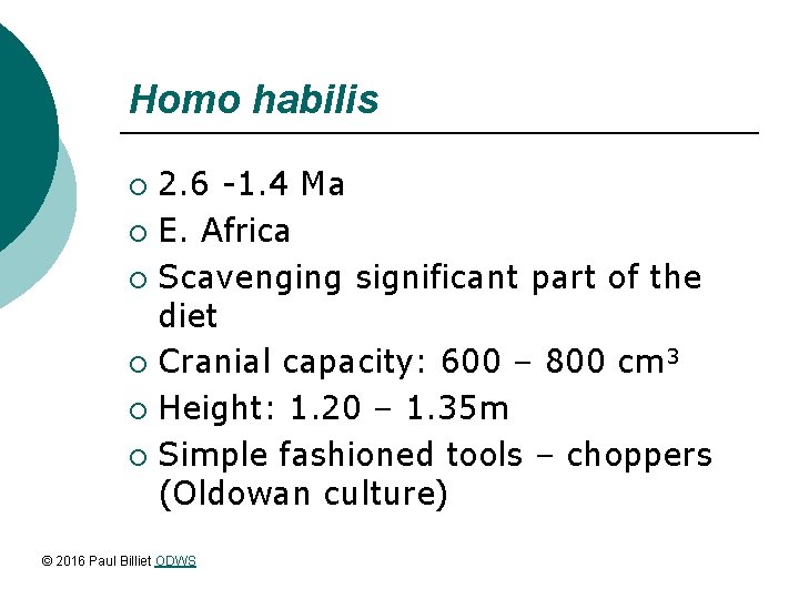 Homo habilis 2. 6 -1. 4 Ma ¡ E. Africa ¡ Scavenging significant part