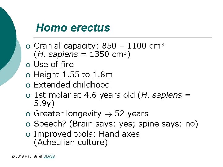 Homo erectus ¡ ¡ ¡ ¡ Cranial capacity: 850 – 1100 cm 3 (H.