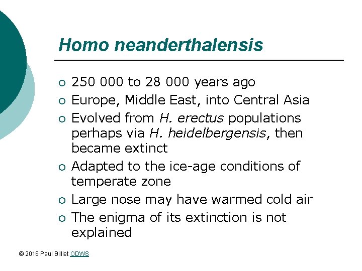 Homo neanderthalensis ¡ ¡ ¡ 250 000 to 28 000 years ago Europe, Middle