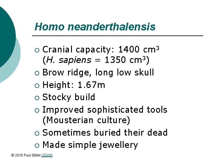 Homo neanderthalensis Cranial capacity: 1400 cm 3 (H. sapiens = 1350 cm 3) ¡