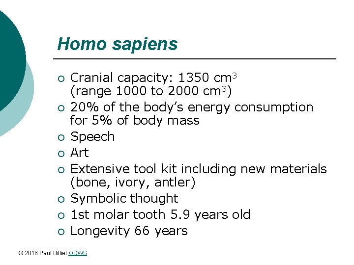 Homo sapiens ¡ ¡ ¡ ¡ Cranial capacity: 1350 cm 3 (range 1000 to