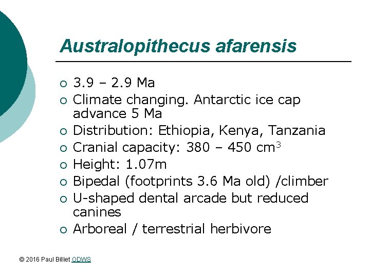 Australopithecus afarensis ¡ ¡ ¡ ¡ 3. 9 – 2. 9 Ma Climate changing.