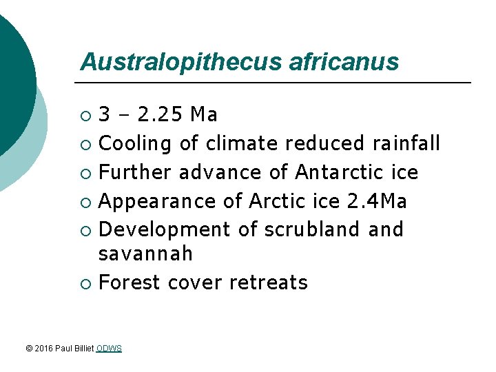 Australopithecus africanus 3 – 2. 25 Ma ¡ Cooling of climate reduced rainfall ¡