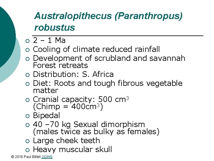 Australopithecus (Paranthropus) robustus ¡ ¡ ¡ ¡ ¡ 2 – 1 Ma Cooling of