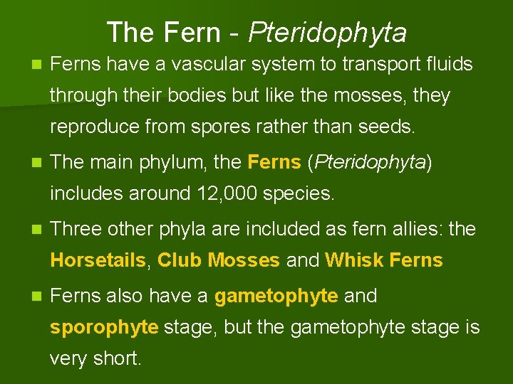 The Fern - Pteridophyta n Ferns have a vascular system to transport fluids through