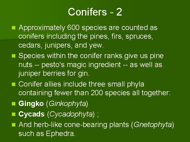 Conifers - 2 n n n Approximately 600 species are counted as conifers including