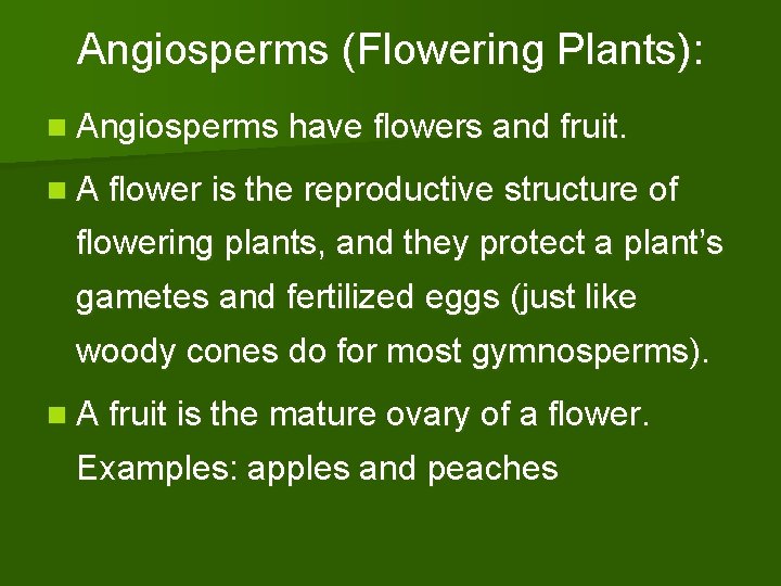Angiosperms (Flowering Plants): n Angiosperms have flowers and fruit. n A flower is the