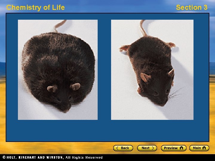 Chemistry of Life Section 3 