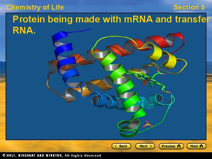 Chemistry of Life Section 3 Protein being made with m. RNA and transfer RNA.